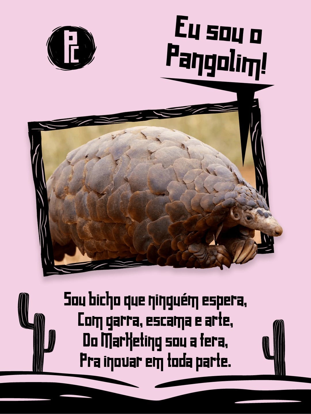 Imagem 6 - Pangolim Criativo