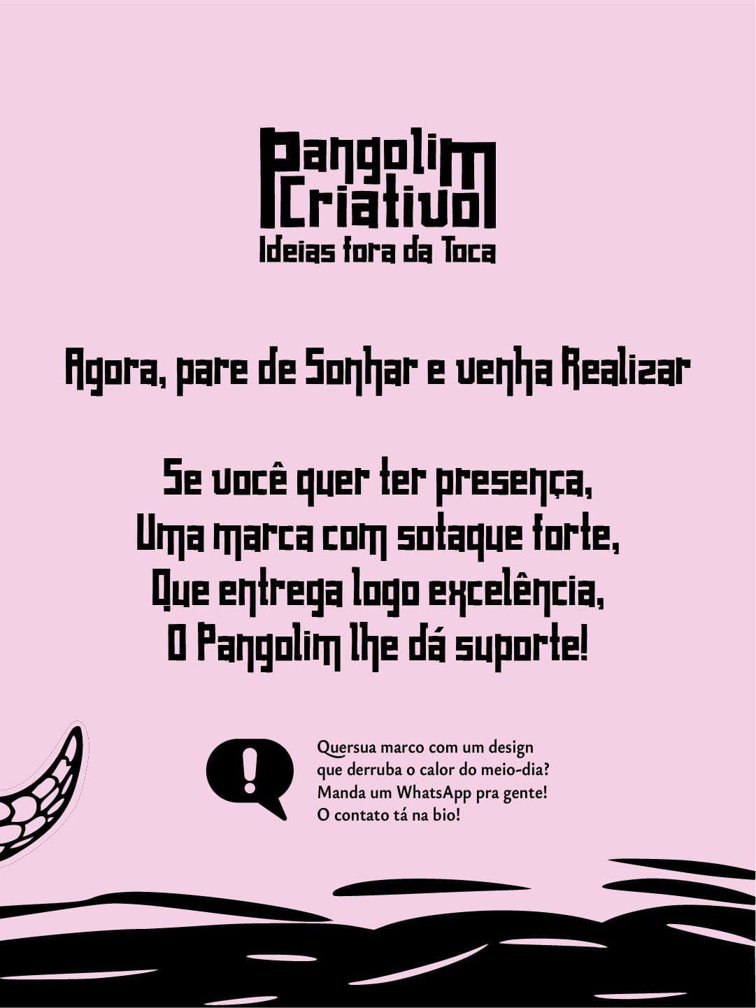 Imagem 8 - Pangolim Criativo