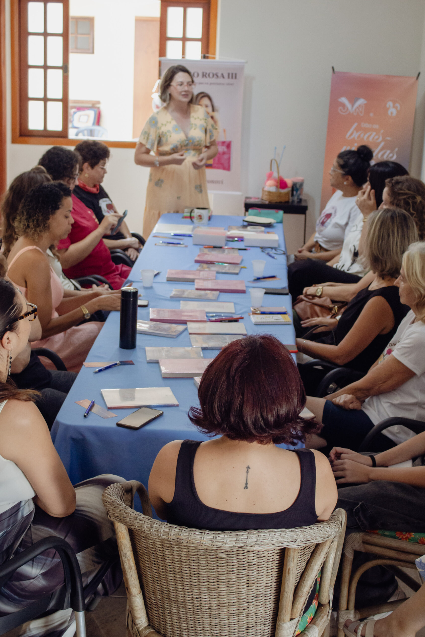 Imagem 3 - Érica Borgonovi Desenvolvimento Profissional