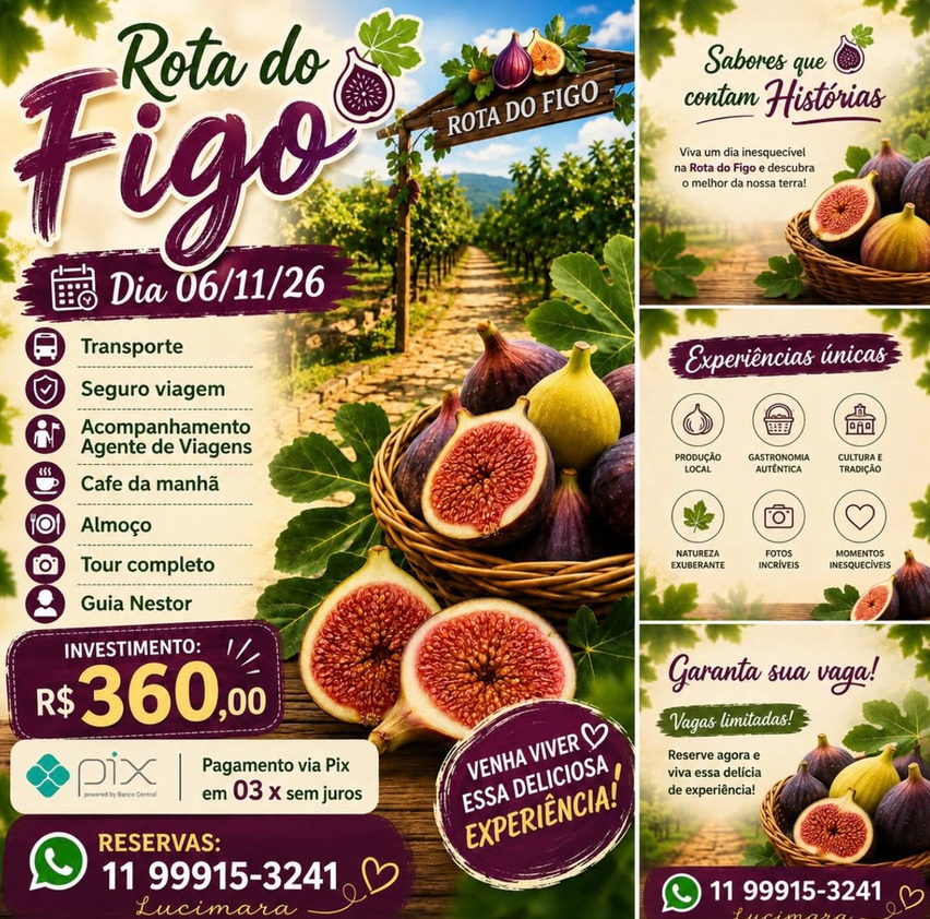 Imagem 2 - Mara Amaral Viagens